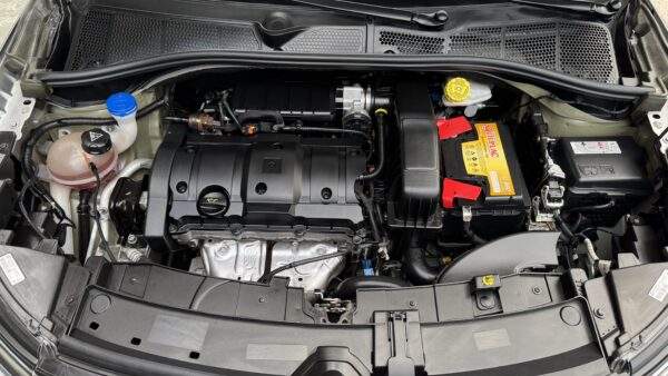 C4 Cactus X-Series At 1.6 - Image 21